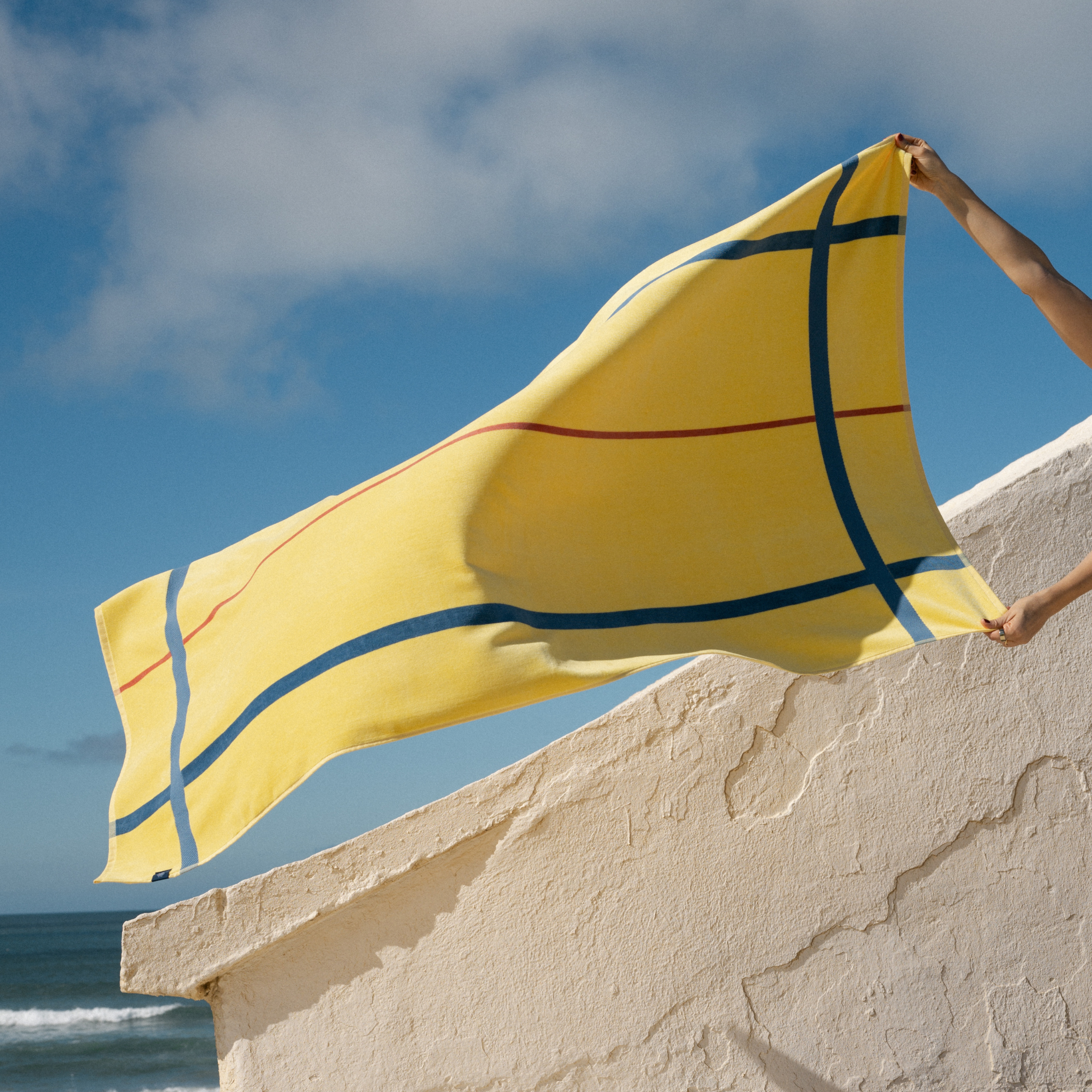 Alvor jaune